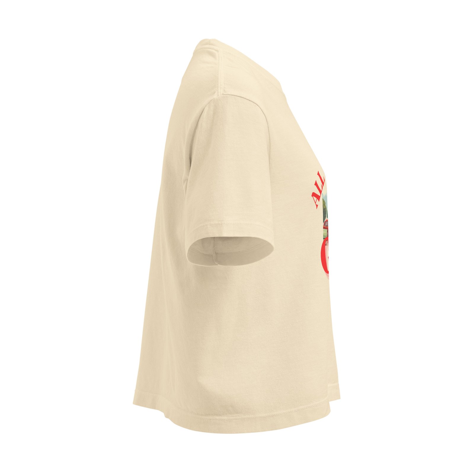 All American Girl | Women’s | heavyweight boxy tee - Image 12