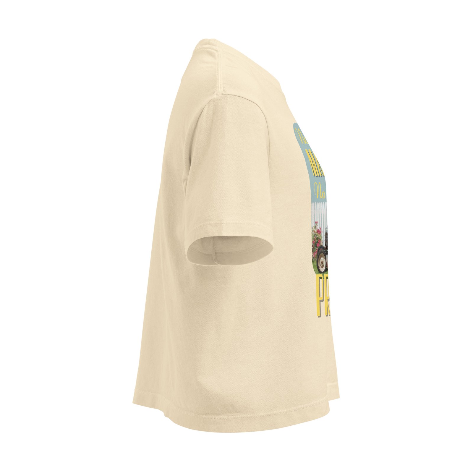 "No Problem" | Women’s | heavyweight boxy tee - Image 16