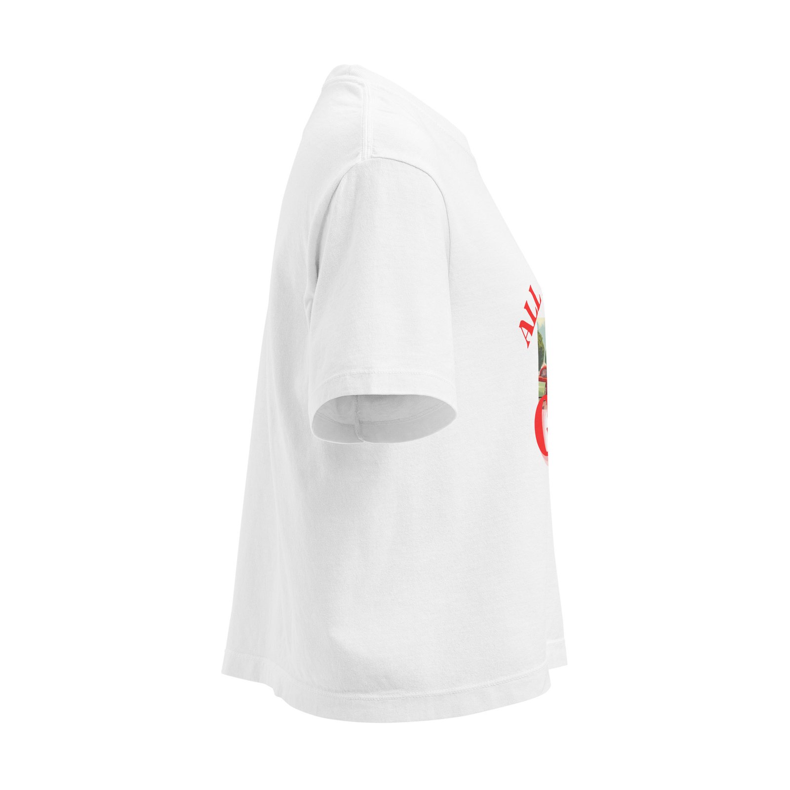 All American Girl | Women’s | heavyweight boxy tee - Image 16