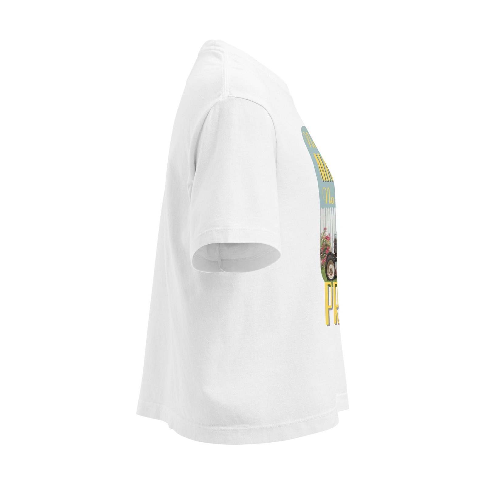 "No Problem" | Women’s | heavyweight boxy tee - Image 20